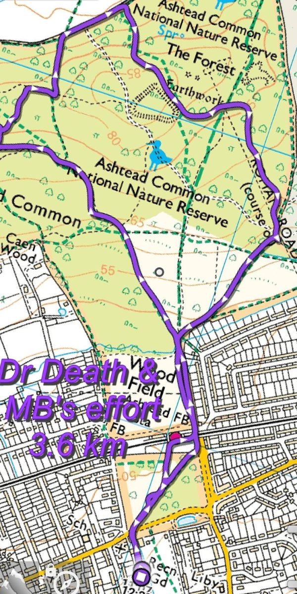 Track-2646